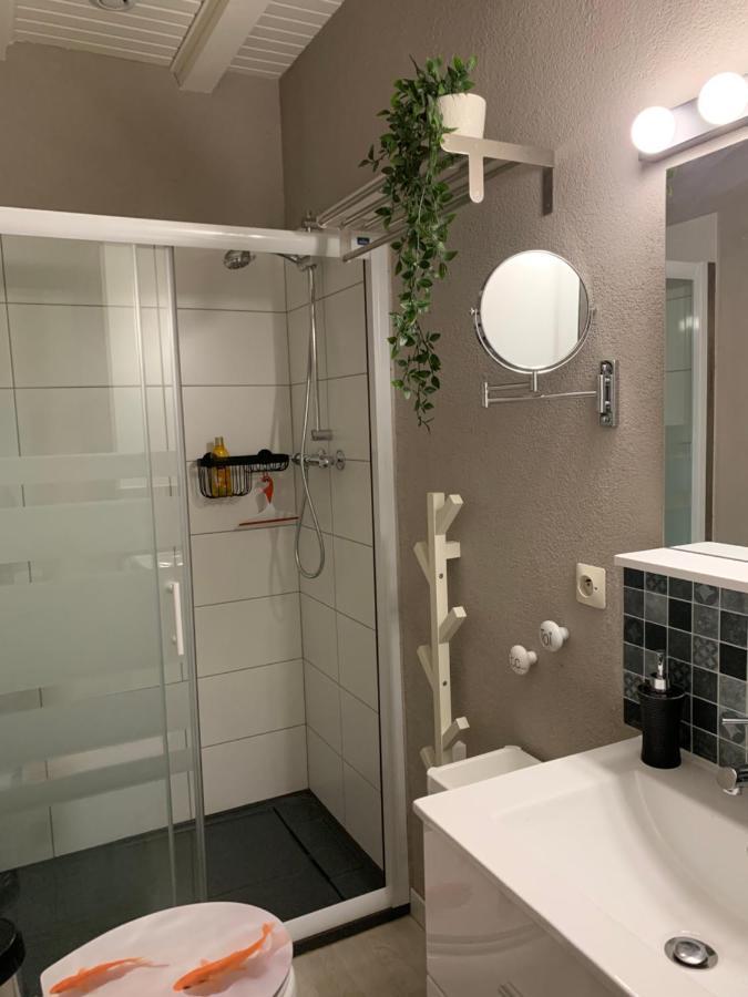 Appartement Houssen/Colmar:   Chez Lin’Doux  , le Nid Alsacien Extérieur photo